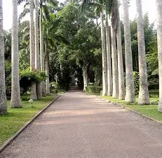 Aburi Botanical Gardens in Eastern Region